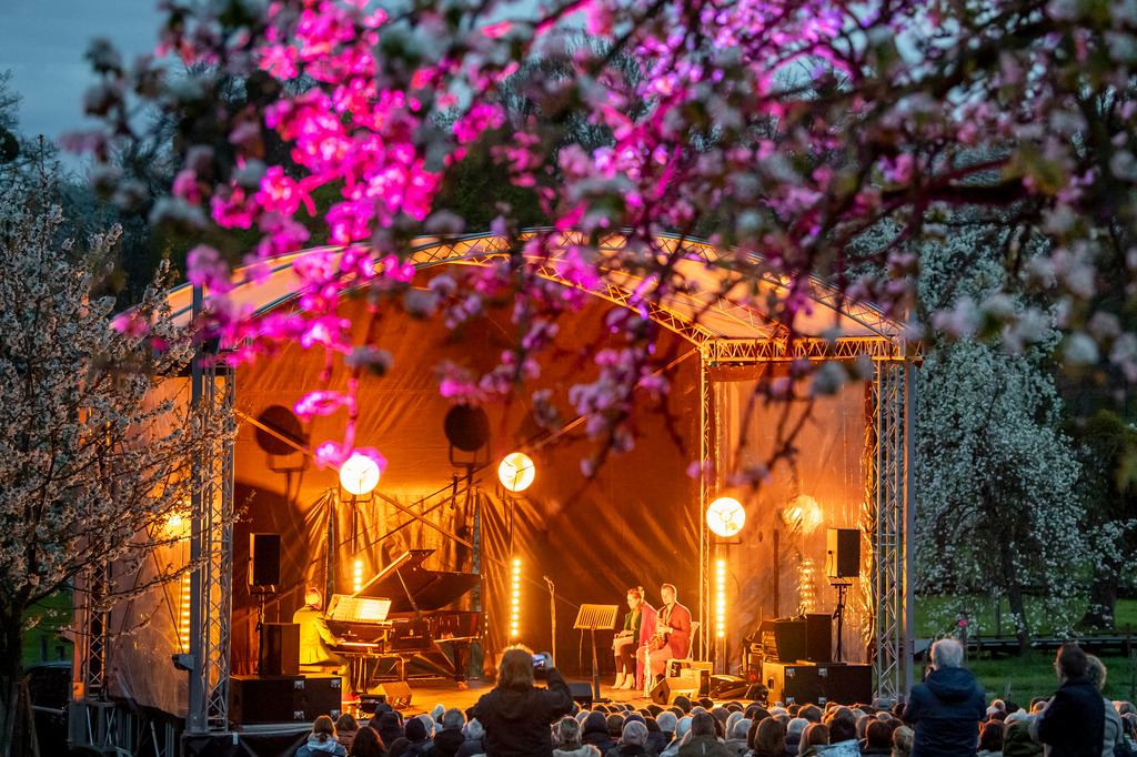 Konzert im Morgenrot