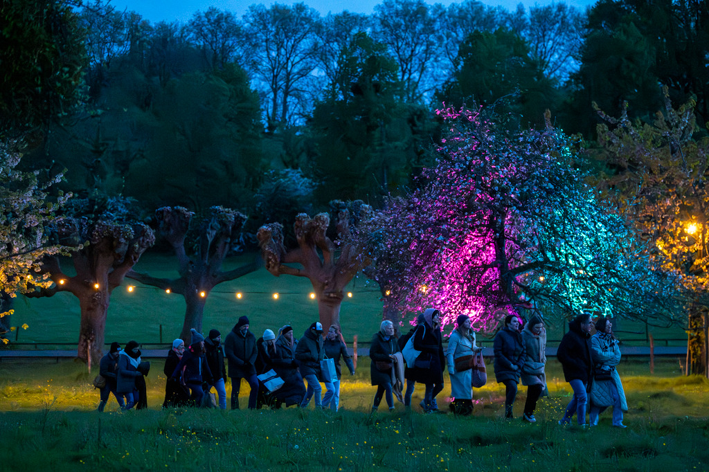 concert à la rosée