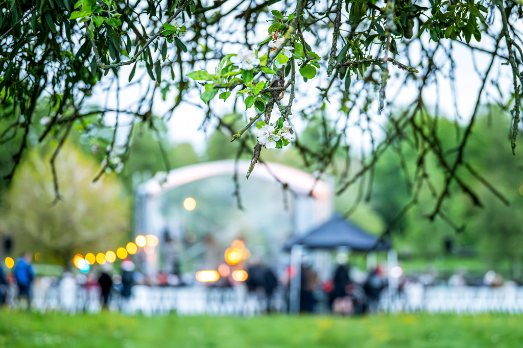 concert à la rosée