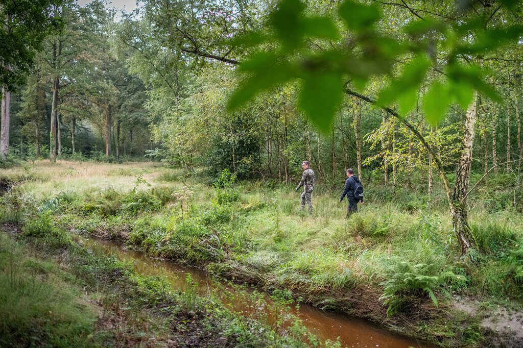 Nationaal Park Hoge Kempen