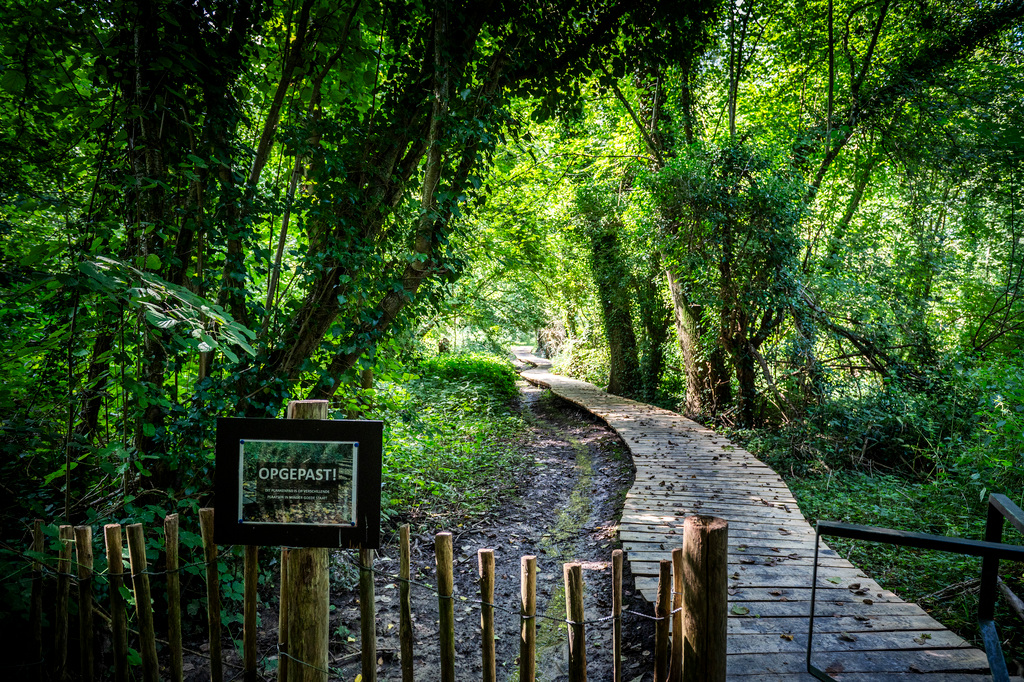 Wandeling Vrijhern