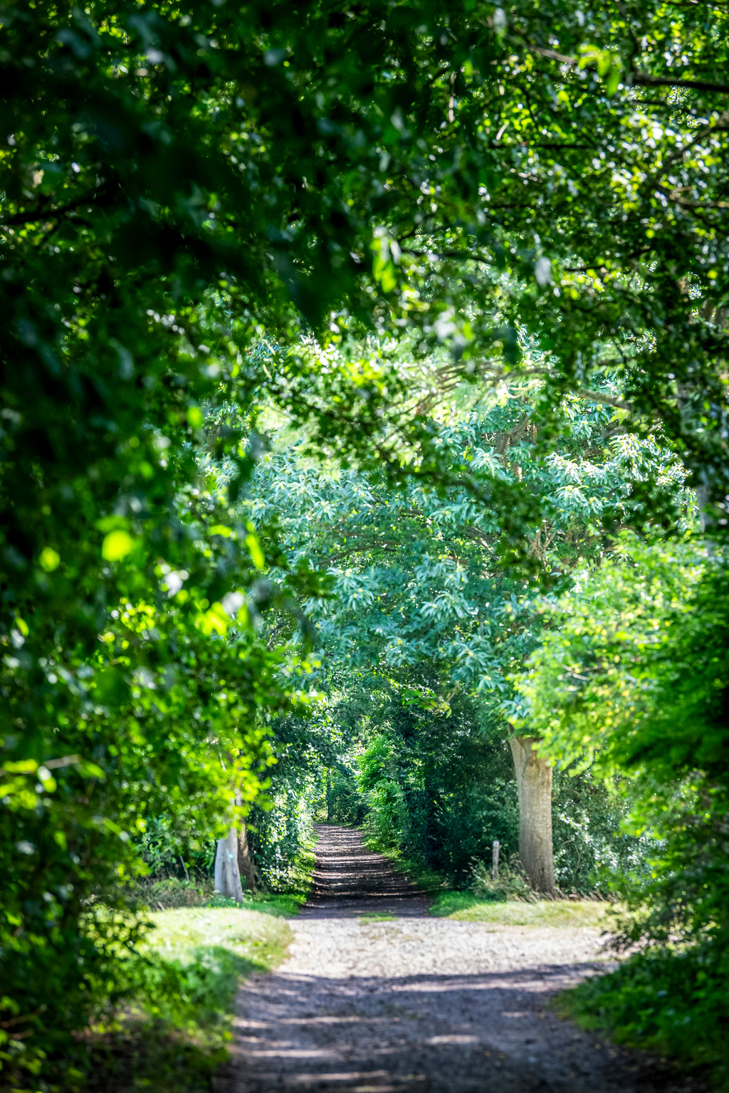 Wandeling Vrijhern