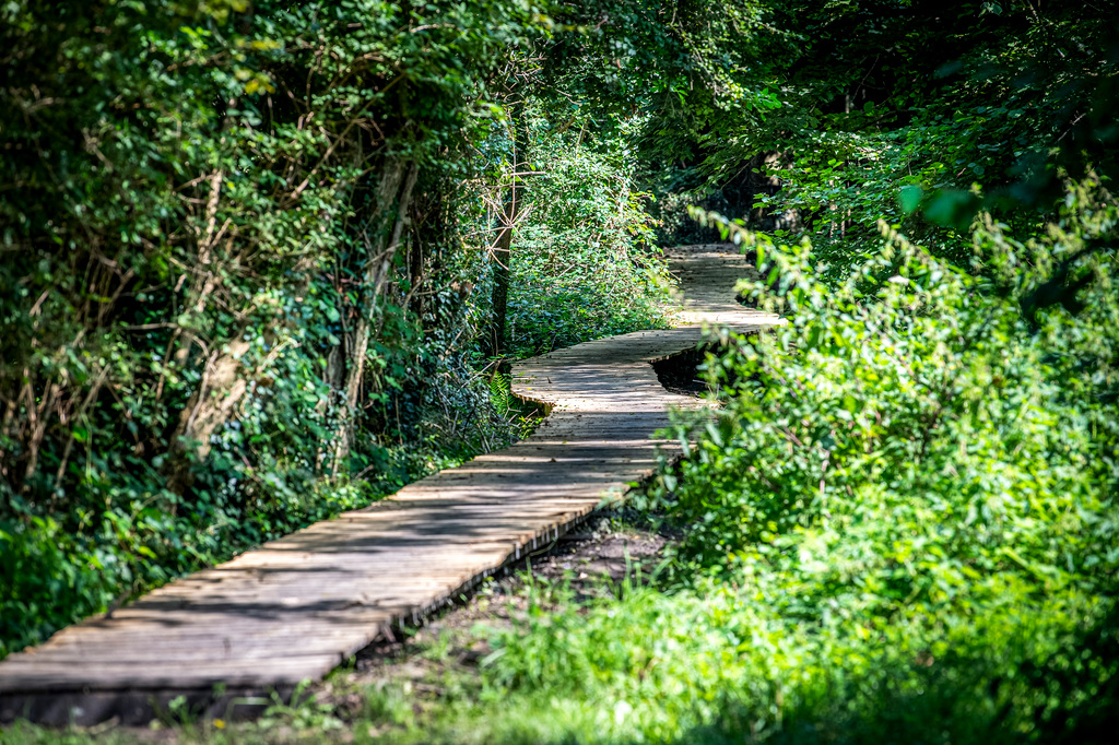 Wandeling Vrijhern