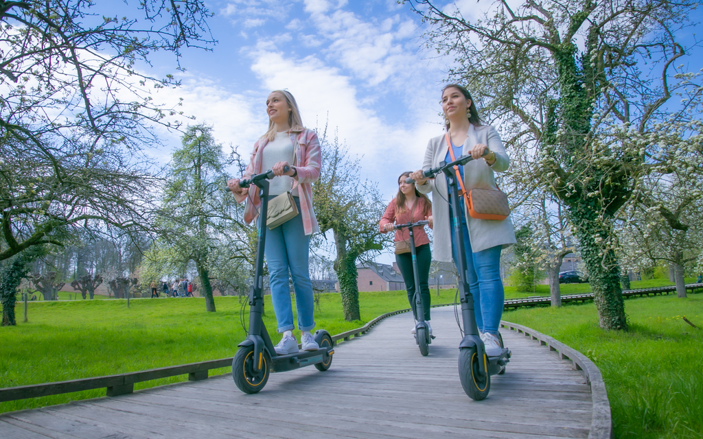 Trottinettes électriques Zoef