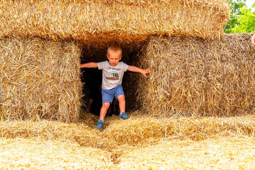 Agricultura