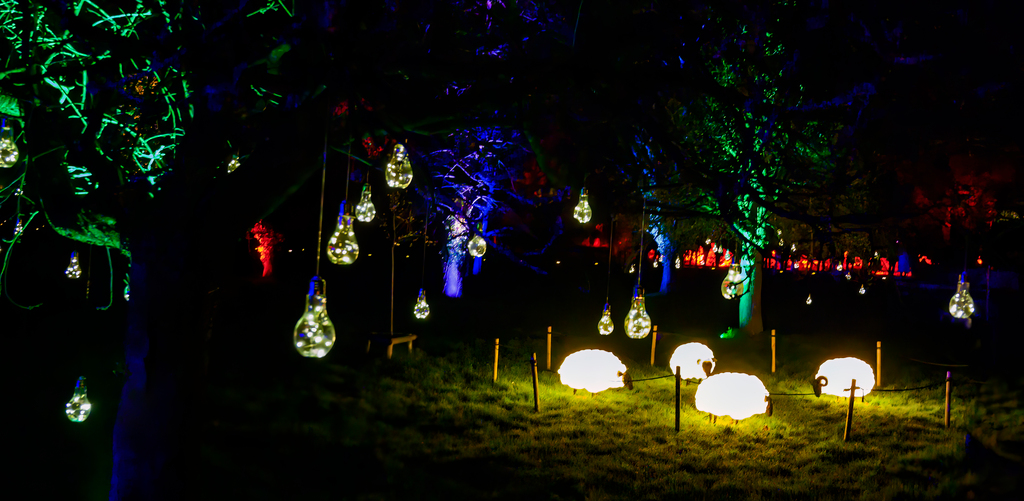 Bloesemfestival Lumineus