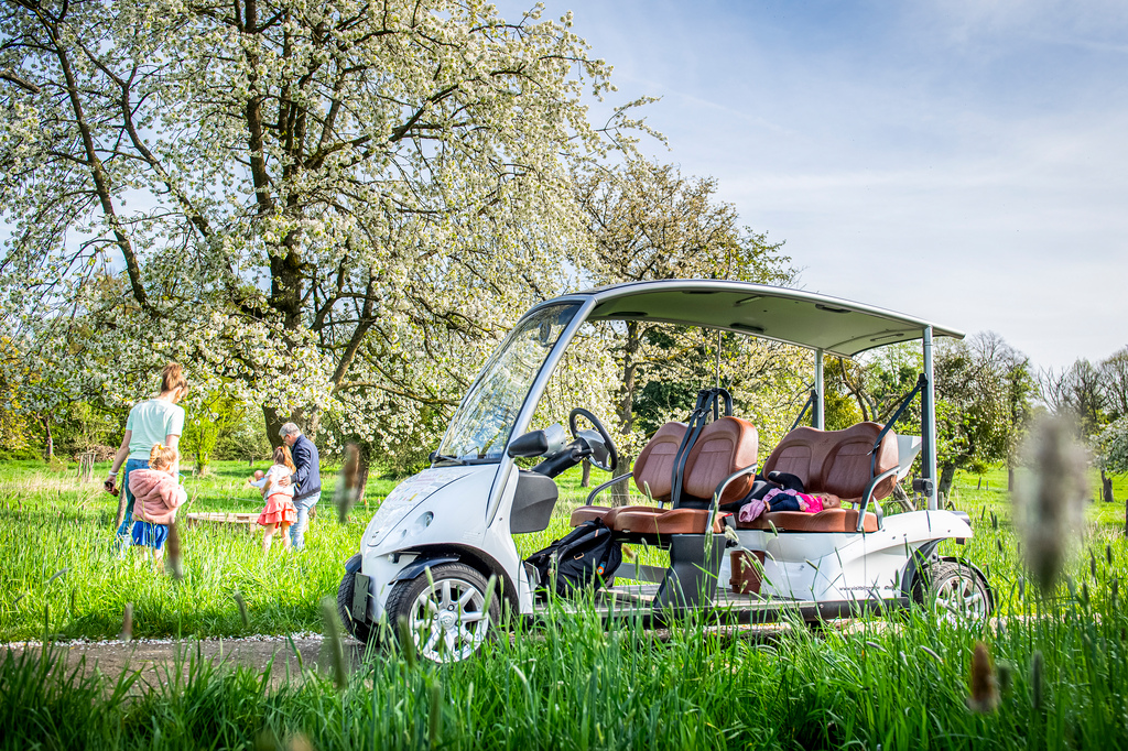 Groene wagentjes Fietsfabriek