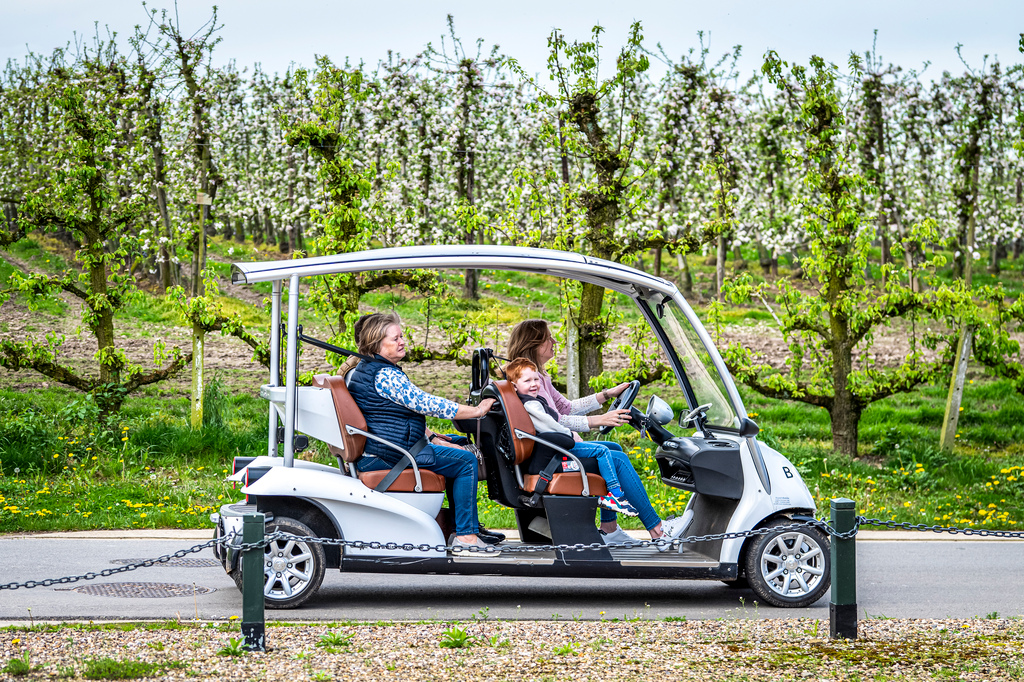 Groene wagentjes Fietsfabriek