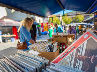 Büchermarkt XL