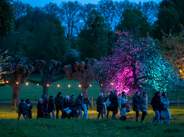 concert à la rosée