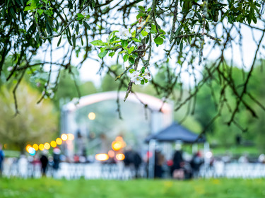 concert à la rosée