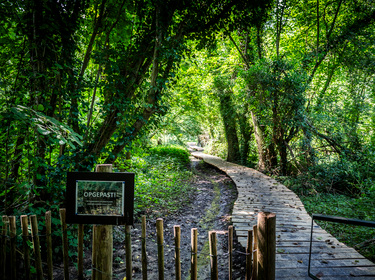 Wandeling Vrijhern