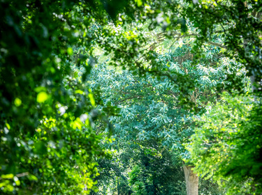 Wandeling Vrijhern