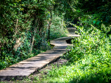 Wandeling Vrijhern