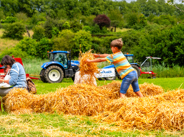 Agricultura