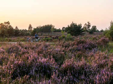 Fietsen door de Heide ©Visit Limburg - Kurt Vandeweerdt