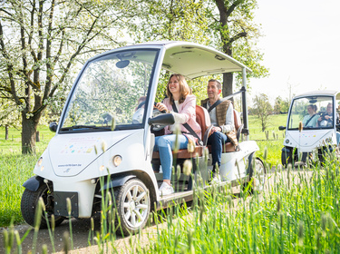 Groene wagentjes Fietsfabriek