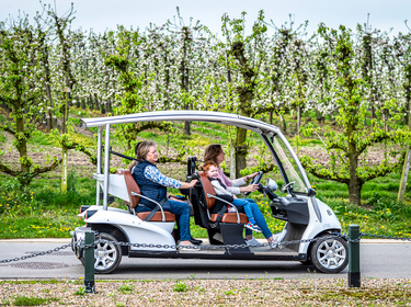 Groene wagentjes Fietsfabriek