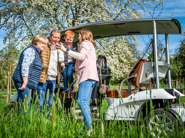 Rondrit groene wagentjes