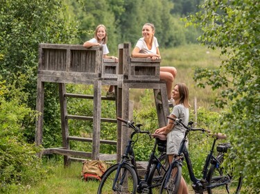 fietsen door het Munsterbos