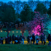 concert à la rosée