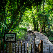 Wandeling Vrijhern