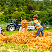 Agricultura