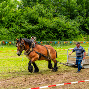 Agricultura