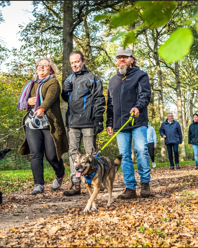 Wandelen & Fietsen