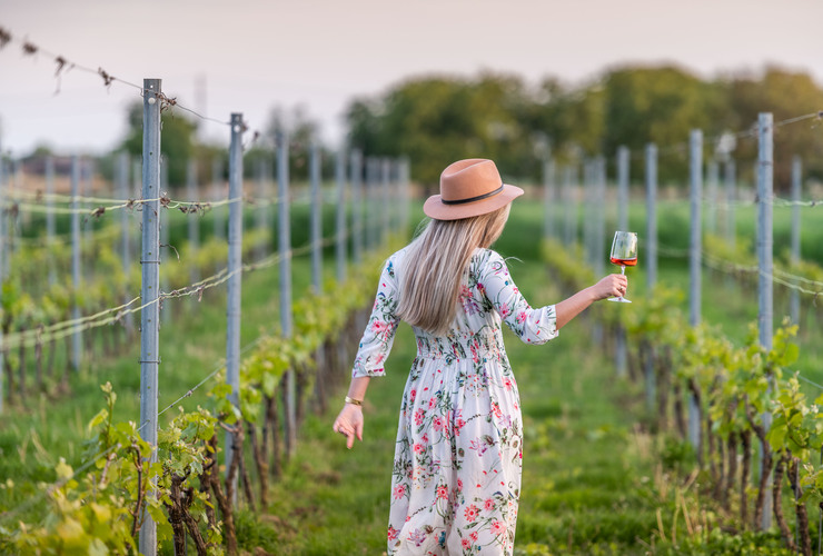 Bar d'été au domaine vinicole