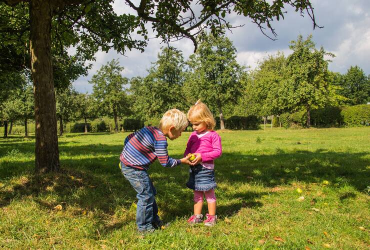 Fruitwandeling ● zondag 27 oktober